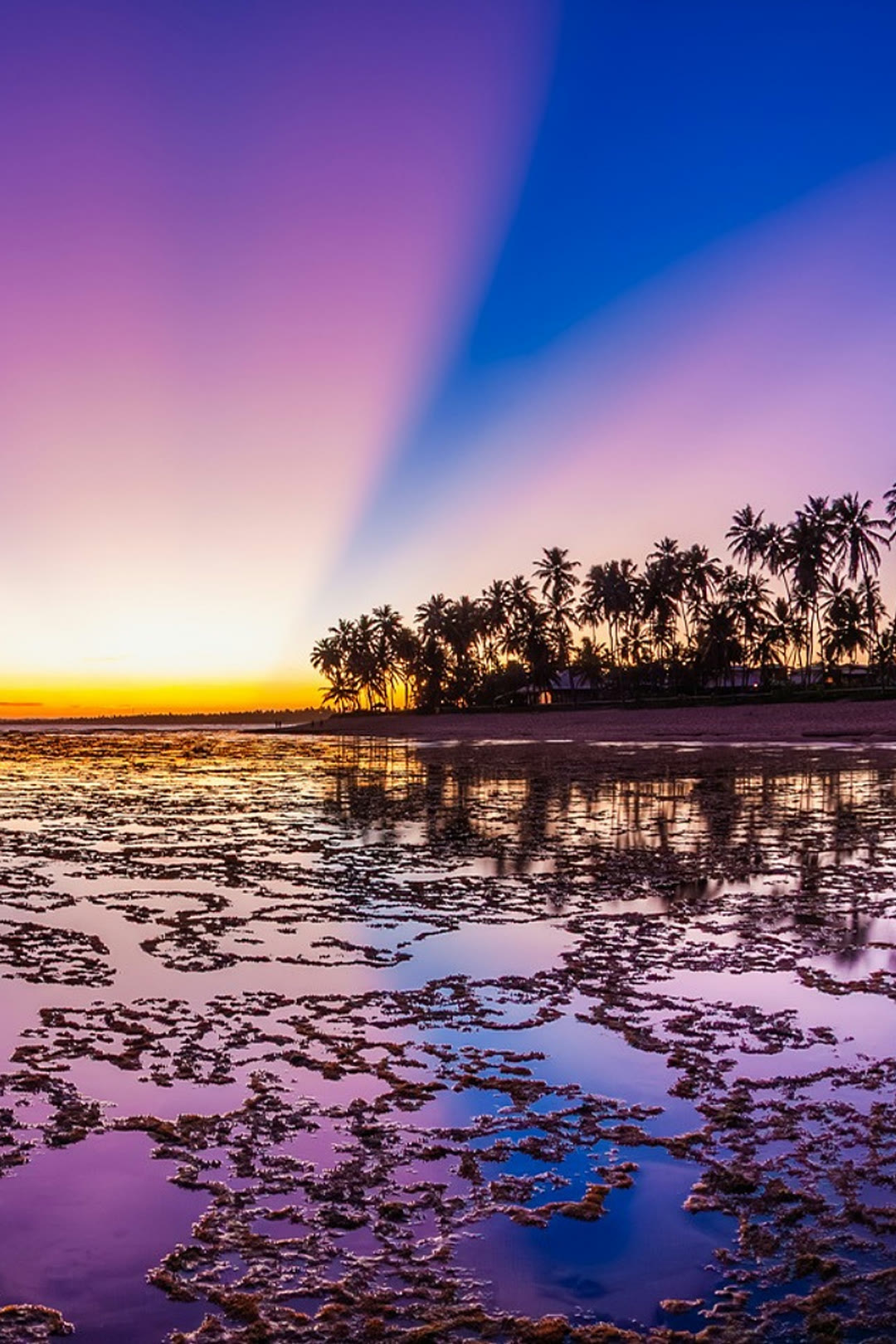 Pôr do sol na Praia do Forte: céu roxo com nuvens radiais, coqueiral em silhueta e o recife refletindo a luz na maré baixa
